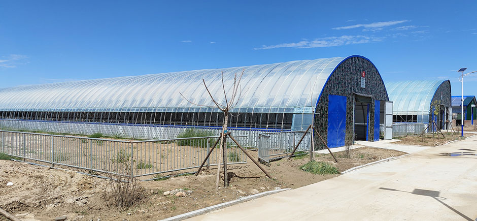 準旗羊場網站2圖940.jpg 準旗羊場網站2圖940.jpg