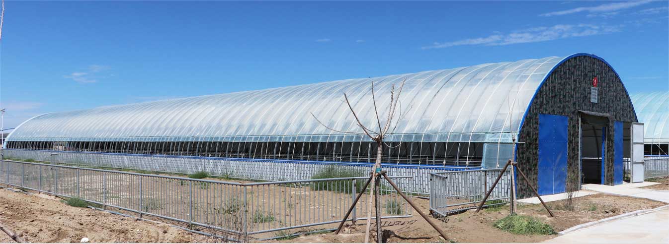 新型冬暖夏涼裝配式畜牧拱形棚舍_03.jpg 新型冬暖夏涼裝配式畜牧拱形棚舍_03.jpg