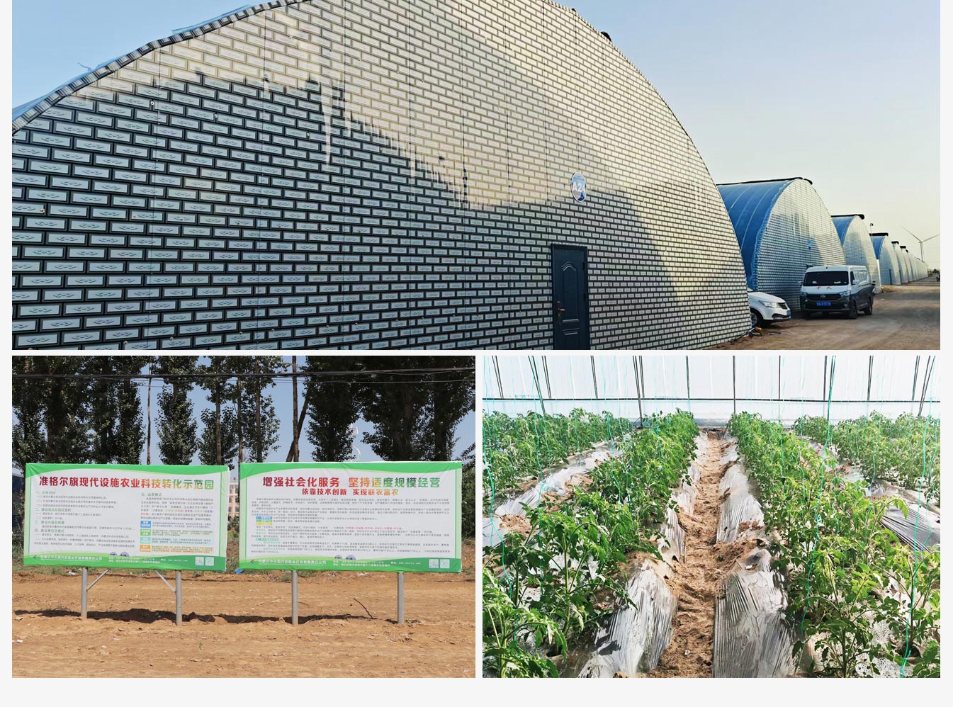 準格爾旗現代設施農業科技轉化示范園_10.jpg 準格爾旗現代設施農業科技轉化示范園_10.jpg