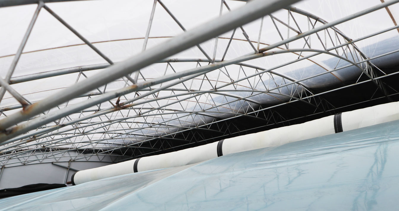 2、四季溫室網(wǎng)頁_15.jpg 2、四季溫室網(wǎng)頁_15.jpg