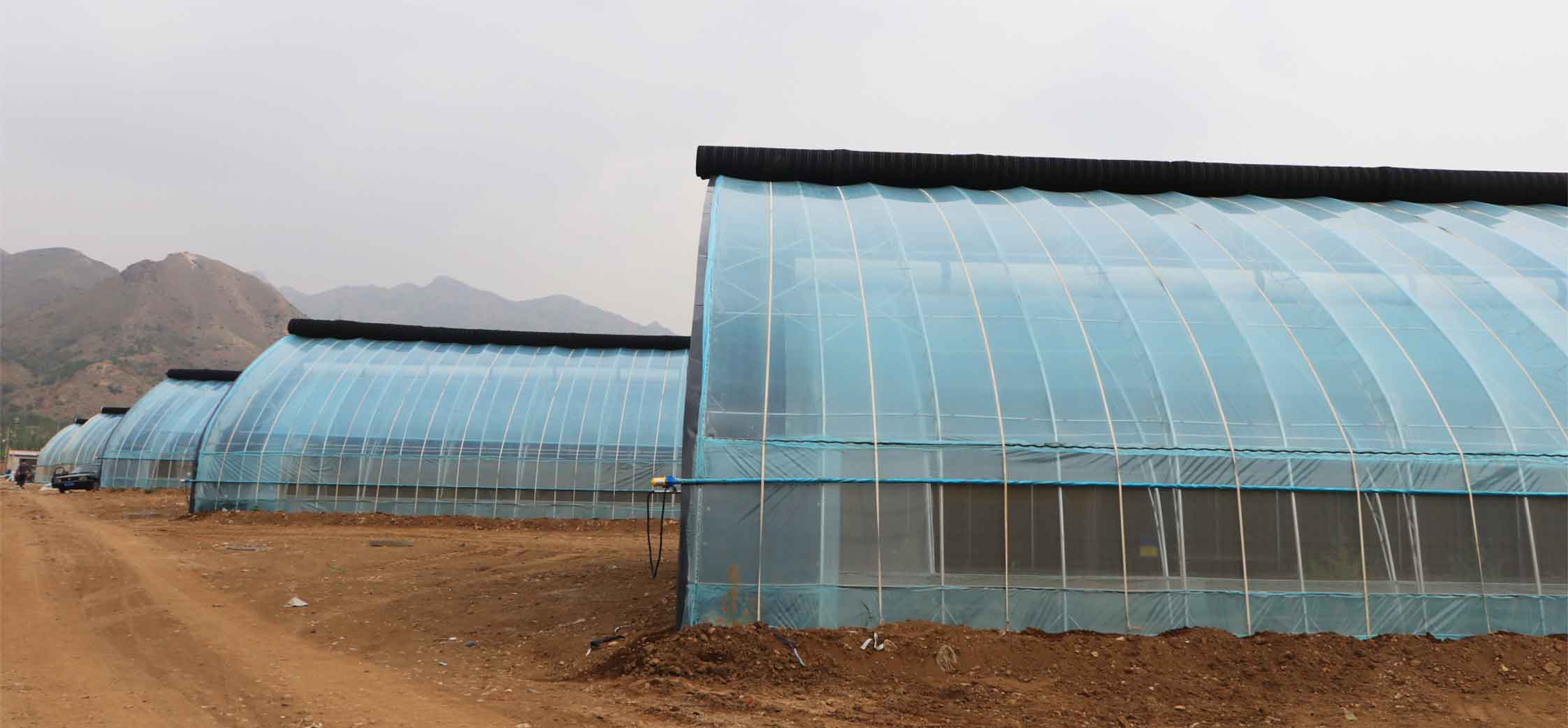 2、弧形溫室網(wǎng)頁(yè)_09.jpg 2、弧形溫室網(wǎng)頁(yè)_09.jpg